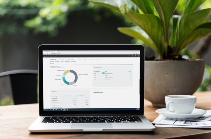 Business Central | Dashboard Einblicke auf Laptop