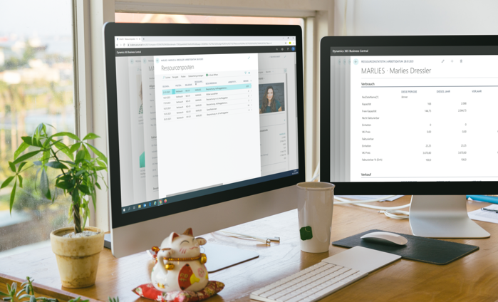 Business Central | Ressourcenverwaltung Ressourcenstatistik