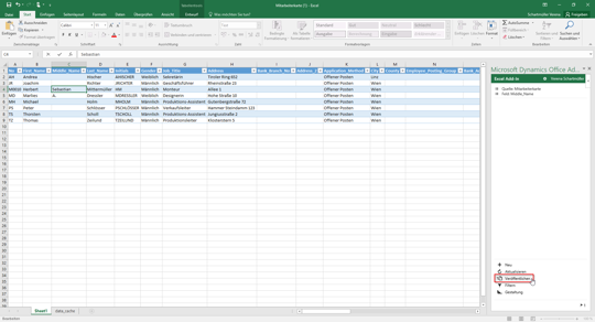 Änderung von Daten in Excel mit Business Central